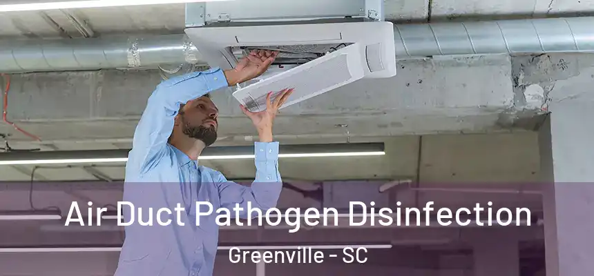  Air Duct Pathogen Disinfection Greenville - SC