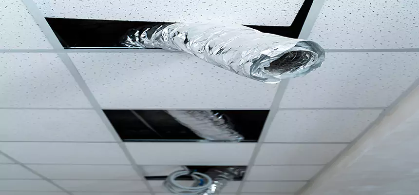 Affordable HVAC Sanitizing After Pest Removal in Greenville