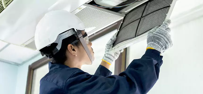 Our Mold & Mildew Removal from Air Ducts Services in Greenville, SC