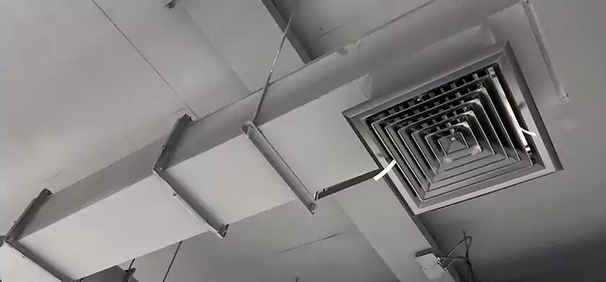 Our Rodent Droppings In Vents Services in Greenville, SC