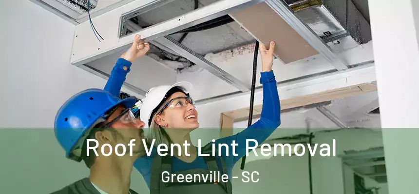  Roof Vent Lint Removal Greenville - SC