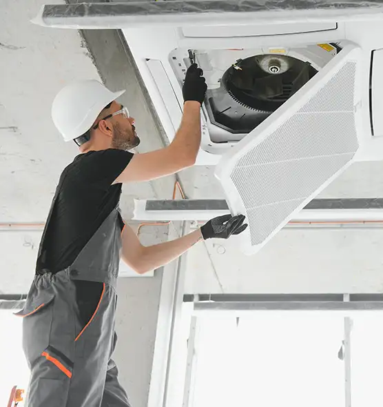 About Air Duct Rodent Removal in Greenville, SC