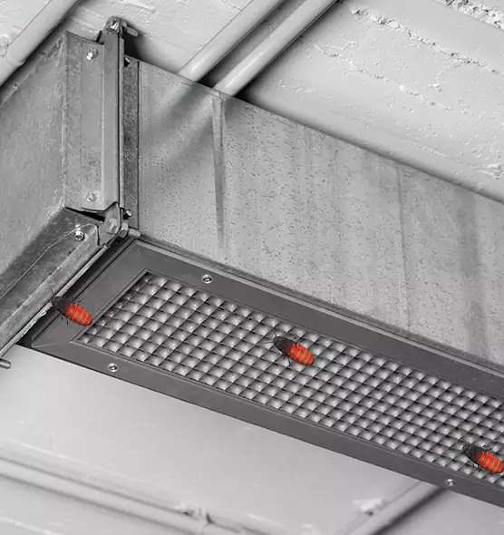 Affordable Insect Removal from Air Ducts in Greenville, SC