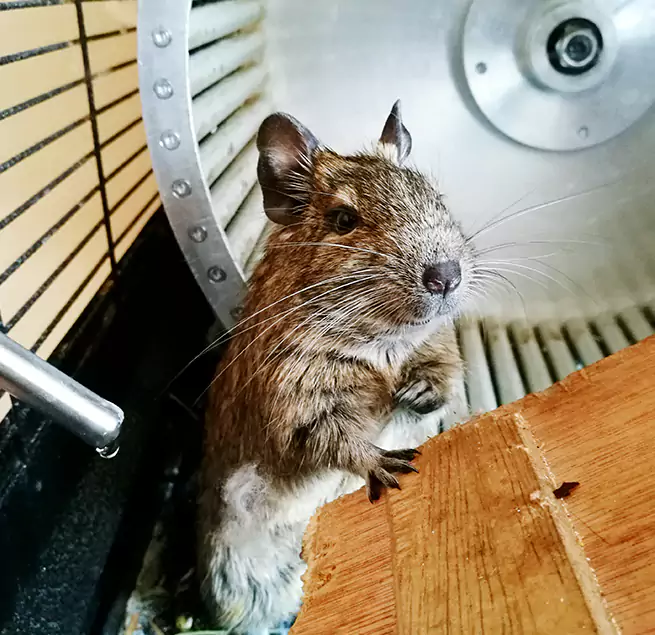 Why Homeowners & Businesses Trust Us Greenville, SC