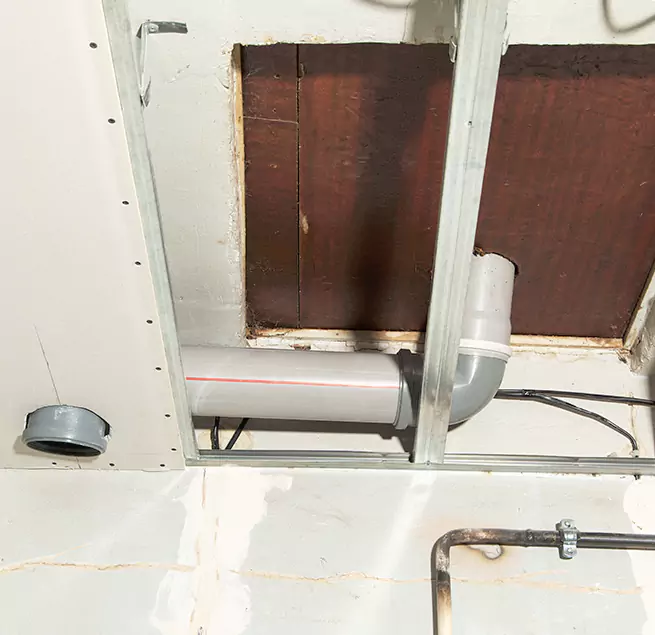 Why Homeowners & Businesses Trust Us in Greenville, SC?