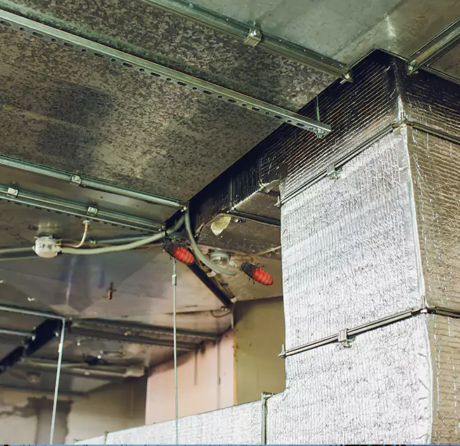 Why Homeowners & Businesses Trust Us Greenville, SC?