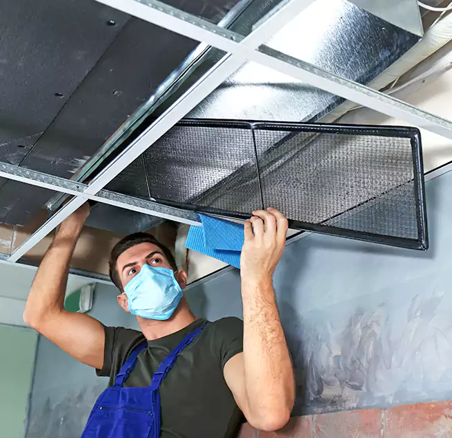 Why Homeowners Businesses Trust Us in Greenville, SC